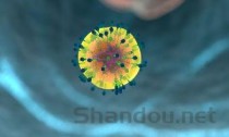 病毒感冒五大常用药，怎样判断是病毒感染