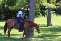 中国最肥的胖子的图片，中国最肥的警察