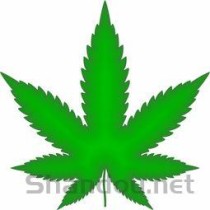 铁树叶子发黄干枯如何补救，铁树叶子发黄干枯如何补救打什么药