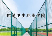 2024年昭通卫生职业学院在新疆计划招生人数（附学费及专业录取分)