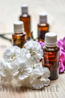 碧生源常润茶对身体健康有影响吗，碧生源常润茶有用吗?