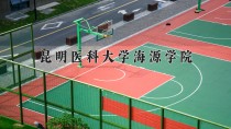 2024年昆明医科大学海源学院在新疆计划招生人数（附学费及专业录取分)