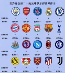 世界排名前十的飞盘俱乐部飞盘如此火爆，那飞盘生意何时才能“起飞”？