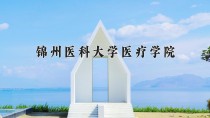 2024年锦州医科大学医疗学院在河南计划招生人数（附学费及专业录取分)