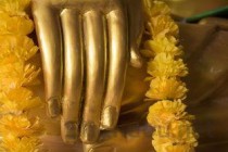 癌症病千万不能吃虫草，癌症病千万不能吃虫草吗