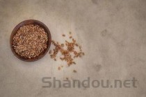 老公吃五子衍宗丸变大，老公吃了一个月的五子衍宗丸