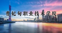 2024年曹妃甸职业技术学院在四川计划招生人数（附学费及专业录取分)