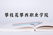 2024年攀枝花攀西职业学院在四川计划招生人数（附学费及专业录取分)