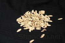 冠心丹参滴丸的功效与作用及食用方法，冠心丹参滴丸的功效与作用