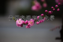 2024年贵州交通职业大学在河南计划招生人数（附学费及专业录取分)