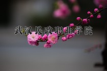 2024年武汉民政职业学院在四川计划招生人数（附学费及专业录取分)