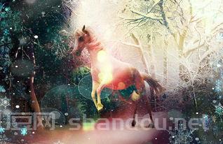 中国最火十大国漫是什么电视剧,中国最火十大国漫是什么