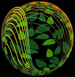 世界体育王国有哪些,世界的体育国王排名前十