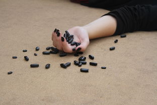 世界上最疼痛的蜜蜂,世界上最疼的疼